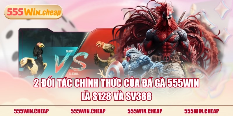Đá Gà 555WIN | Ưu Điểm Nổi Bật Và 2 Đối Tác Hàng Đầu - Betvertex