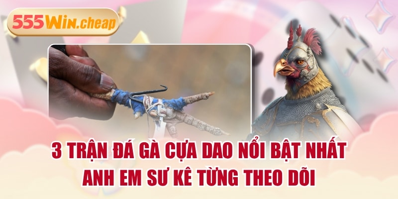 Đá Gà 555WIN | Ưu Điểm Nổi Bật Và 2 Đối Tác Hàng Đầu - Betvertex