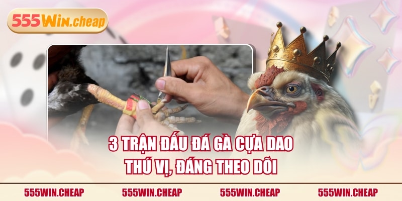 3 Trận Đá Gà Cựa Dao Nổi Bật Nhất Anh Em Sư Kê Từng Theo Dõi - Betvertex
