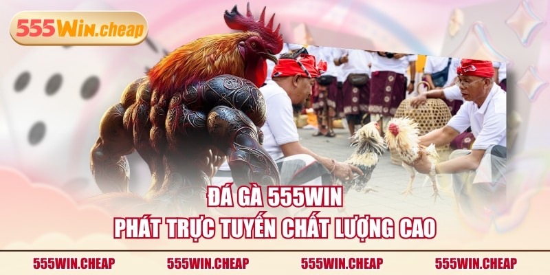 Đá Gà 555WIN | Ưu Điểm Nổi Bật Và 2 Đối Tác Hàng Đầu - Betvertex