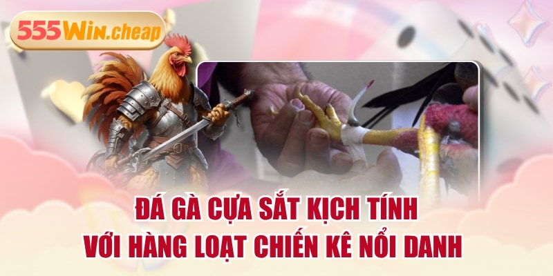 Đá Gà 555WIN | Ưu Điểm Nổi Bật Và 2 Đối Tác Hàng Đầu - Betvertex
