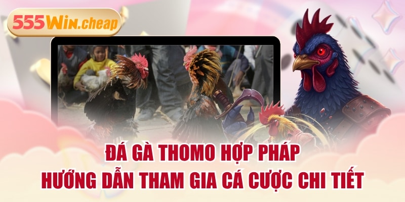 Đá Gà 555WIN | Ưu Điểm Nổi Bật Và 2 Đối Tác Hàng Đầu - Betvertex