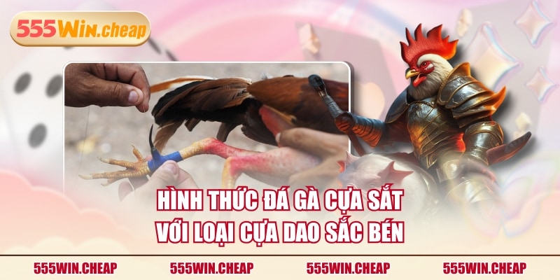 Đá Gà Cựa Sắt Kịch Tính Với Hàng Loạt Chiến Kê Nổi Danh - Betvertex