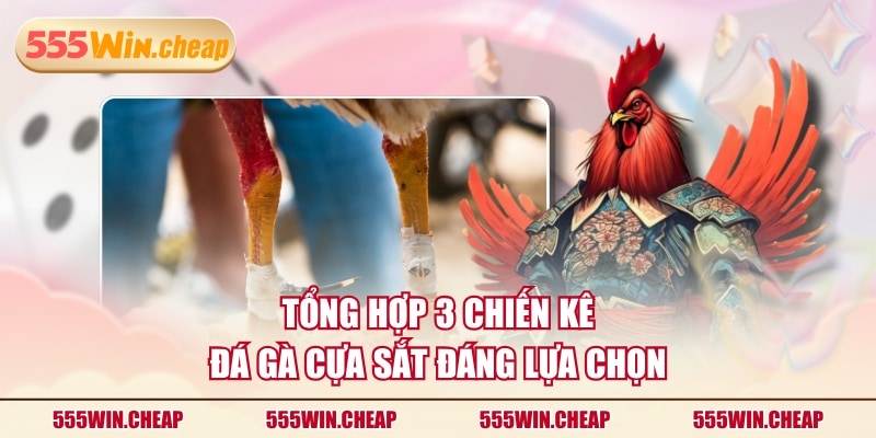 Đá Gà Cựa Sắt Kịch Tính Với Hàng Loạt Chiến Kê Nổi Danh - Betvertex