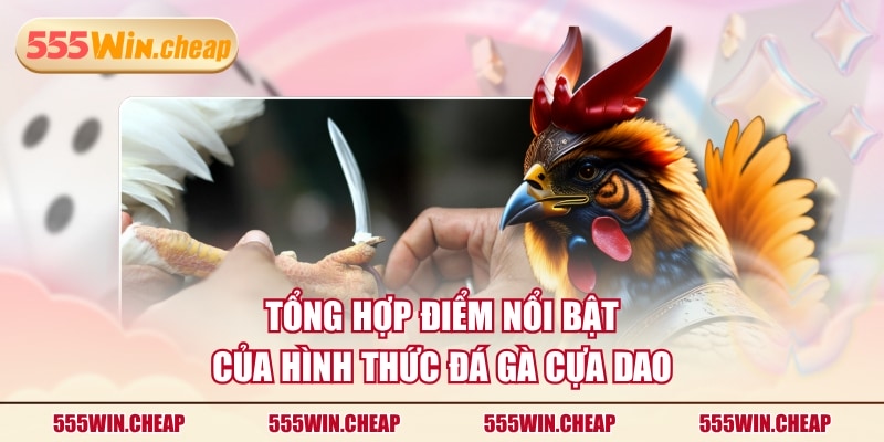 3 Trận Đá Gà Cựa Dao Nổi Bật Nhất Anh Em Sư Kê Từng Theo Dõi - Betvertex